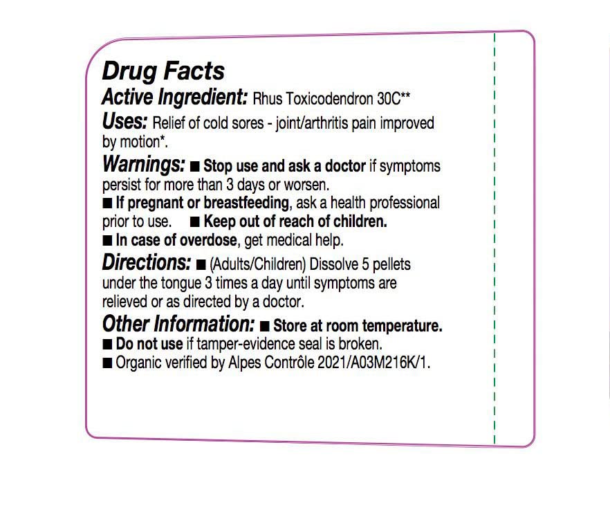 OLLOIS Rhus Toxicodendron 30c – Organic, Lactose-Free Homeopathic Pellets | 80 Pellets (Pack of 1)