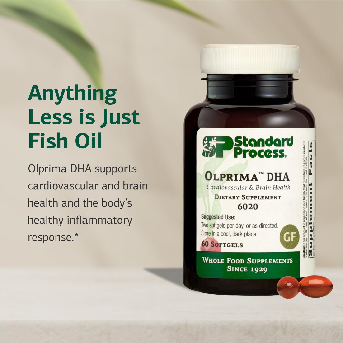 Olprima DHA Omega-3 by Standard Process – Heart & Brain Health, 60 Softgels (30 Servings) – Gluten-Free, Non-Dairy & Non-Soy