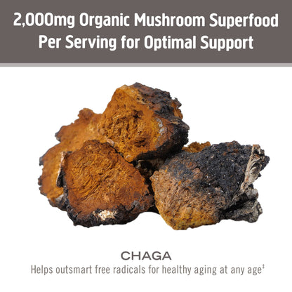 OM MUSHROOM SUPERFOOD Chaga Powder – 7.05 oz, 100 Servings, Organic