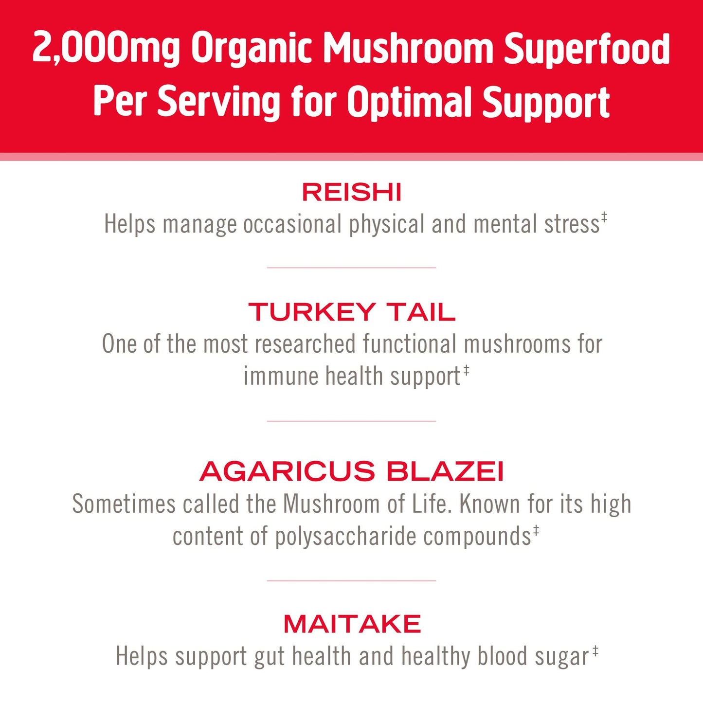 OM Mushroom Superfood Immune Blend Powder – 7.05 oz (100 Servings) Reishi & Turkey Tail