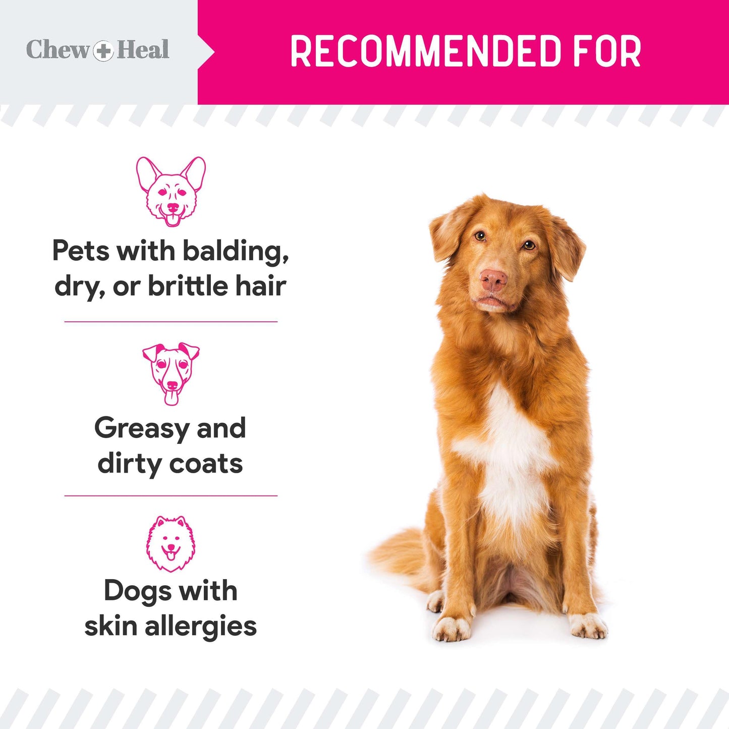 Omega 3 Dog Powder for Skin & Coat – 5.4 oz, Made in USA