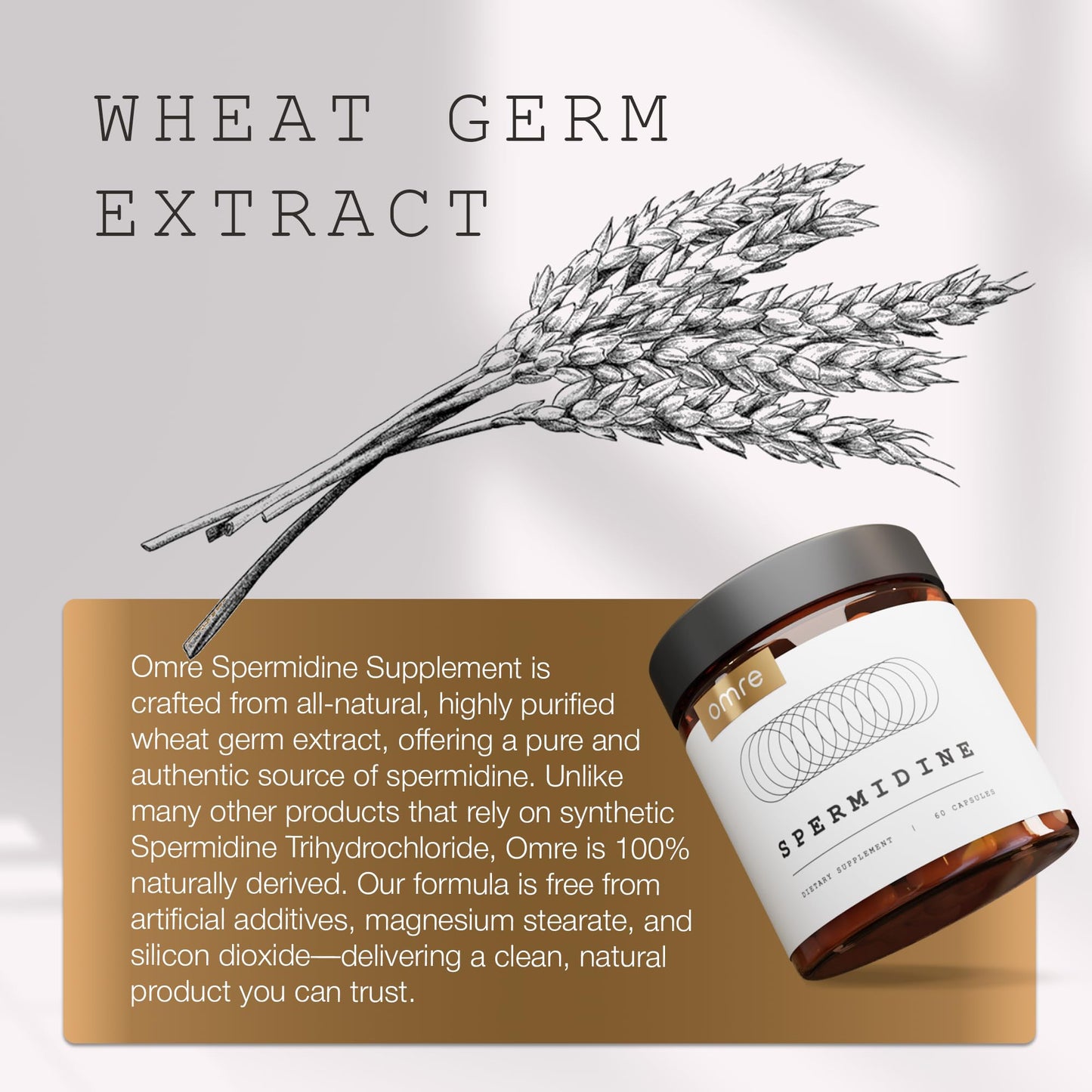 OMRE Spermidine Supplement - 10mg Natural Spermidine per Serving, 1000mg Wheat Germ Extract