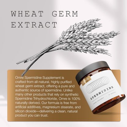 OMRE Spermidine Supplement - 10mg Natural Spermidine per Serving, 1000mg Wheat Germ Extract