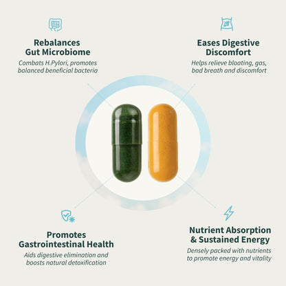Snap Supplements Gut Health Bundle – Probiotic, Digestive Enzymes & Greens (50+120 Veg Capsules)