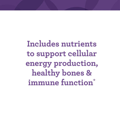 INNATE Response Formulas One Daily Multivitamin – Herb-Free, Vegetarian, Non-GMO, Kosher (90 Tablets)