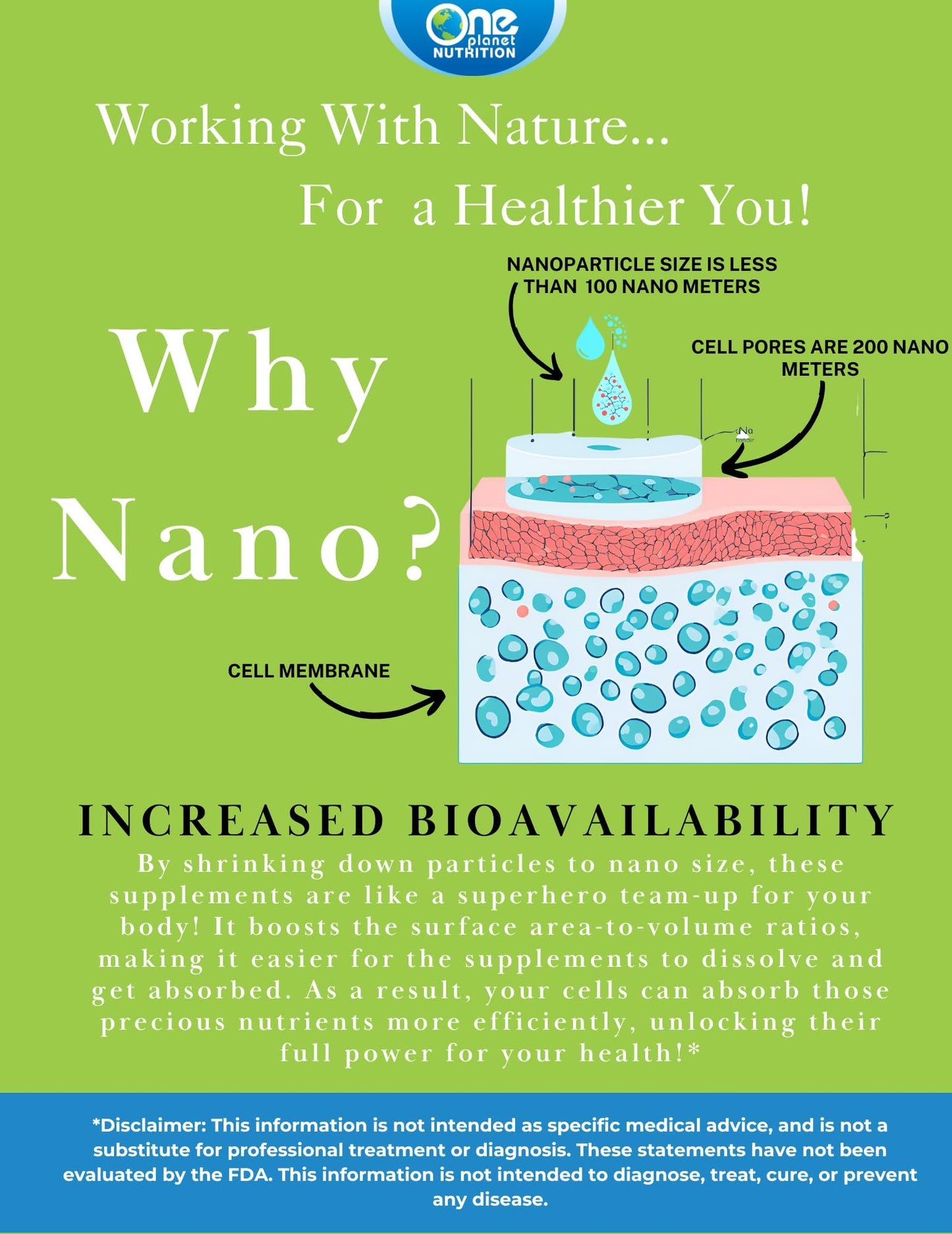 One Planet Nutrition Nano Curcumin 500 mg Veggie Capsules – High Absorption, 120 Servings