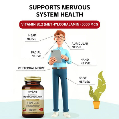 Oppuland Methyl B-12 5000mcg Chewable with Folate – Vegan B12, 120 Count