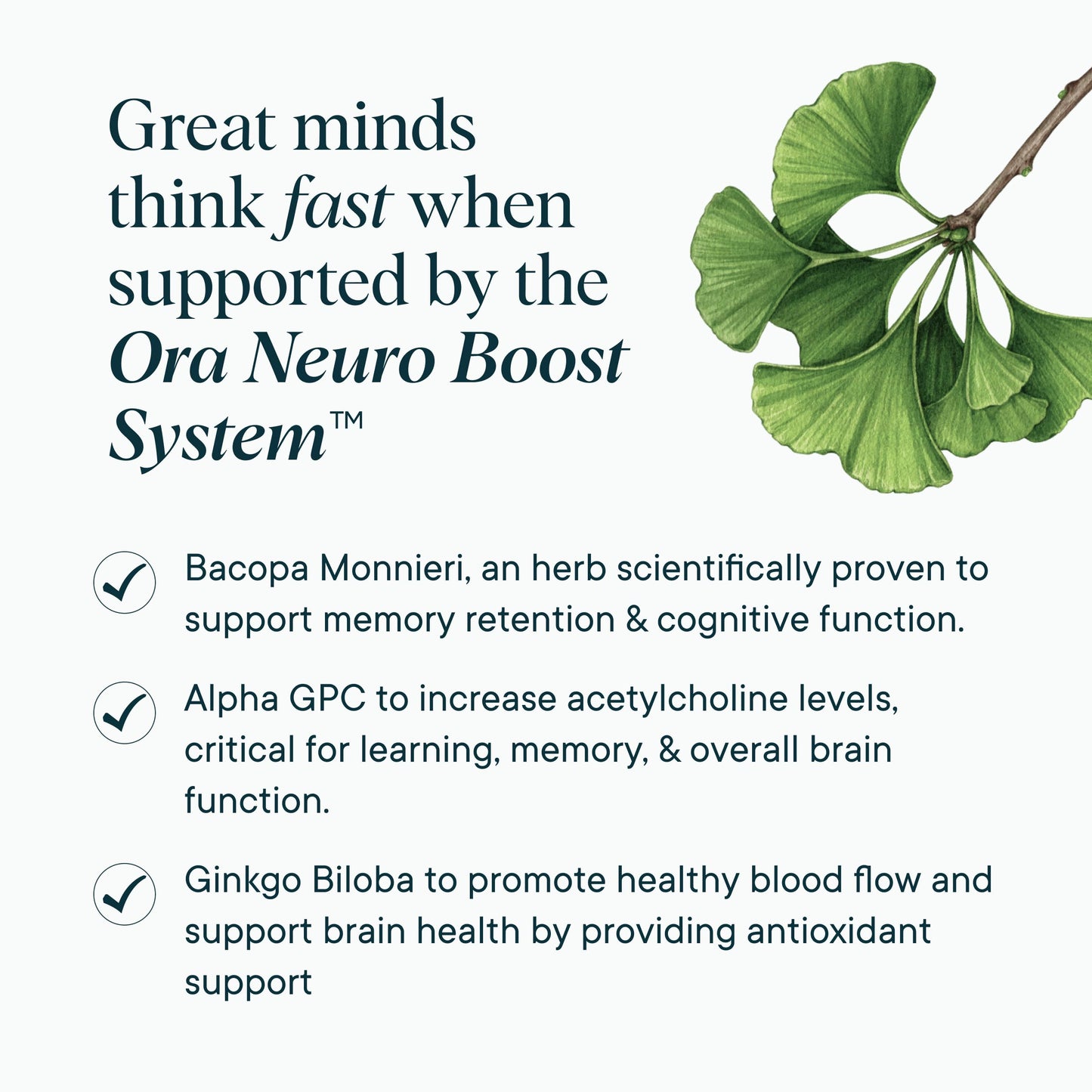 Ora Organic Brain Health Supplement for Focus, Mental Energy & Memory - Panax Red Ginseng, Bacopa Monnieri, Alpha GPC & EnXtra - 60 Capsules