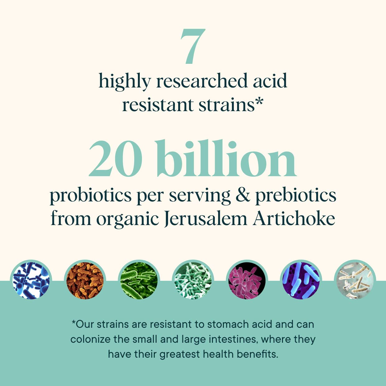 Ora Organic Prebiotic & Probiotic Powder – 20B CFU, 7 Strains, Lavender Lemonade, 30 Servings