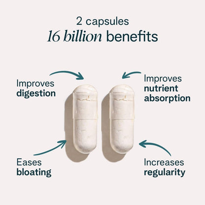 Ora Organic Probiotics with Prebiotics – 16 Billion CFU, 6 Strains (L. Acidophilus, L. Reuteri, B. Bifidum, B. Breve, B. Lactis, B. Longum)