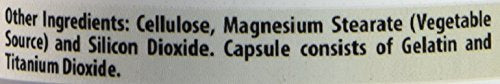 Amazing Formulas Mastic Gum 1000 mg – 60 Count Capsules – Non-GMO, Gluten Free, Made in USA