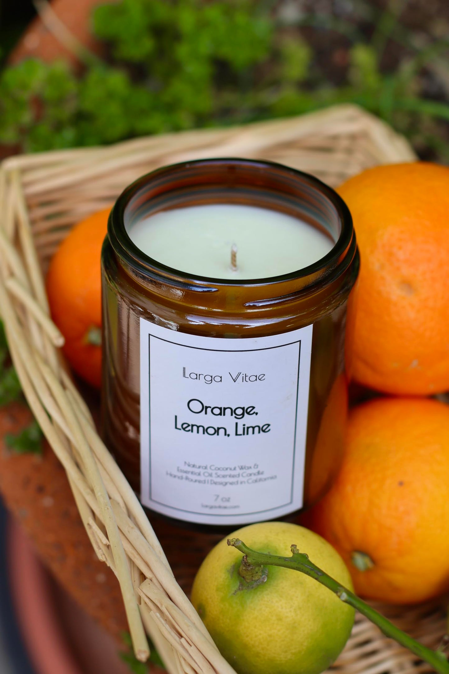 All-Natural Orange, Lemon & Lime Aromatherapy Candle | Vegan, Non-Toxic