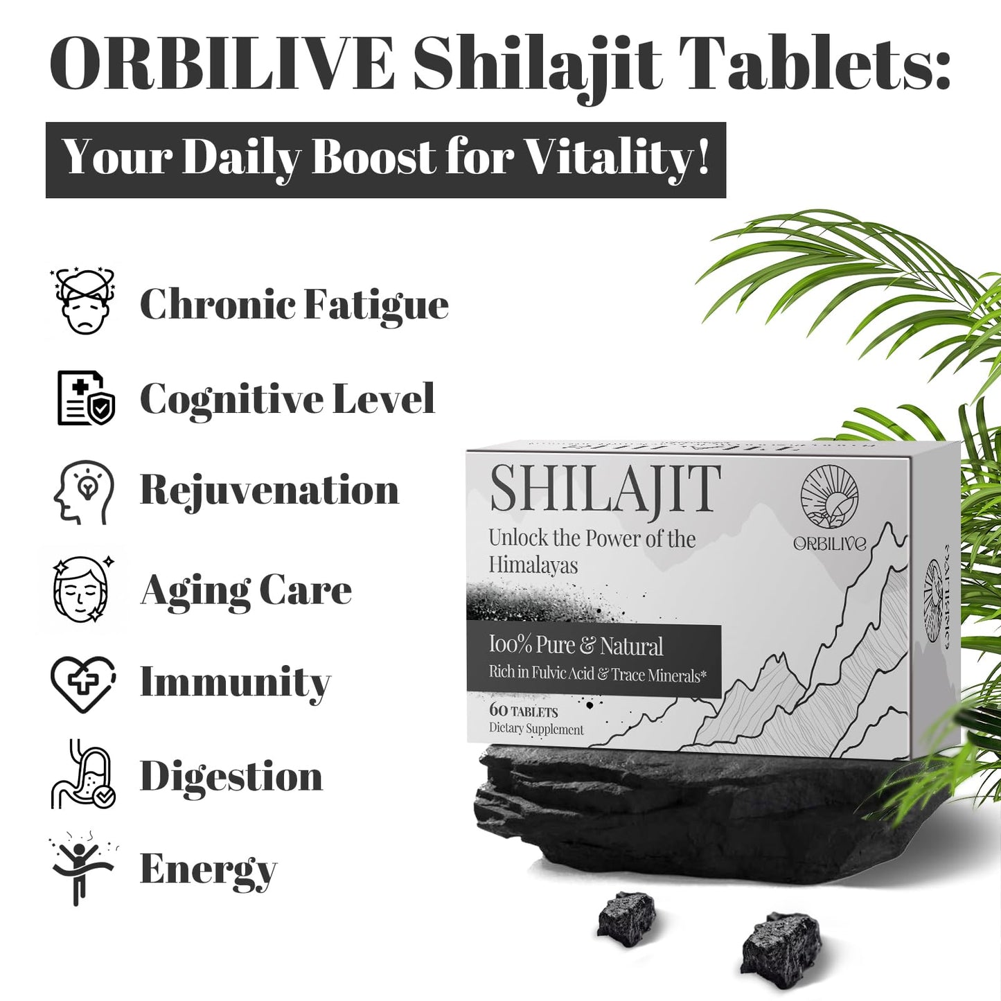 ORBILIVE Shilajit Tablets 1000 MG — Himalayan Organic, 180 Count