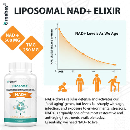 Orgabay Liposomal NAD+ Supplement 500 mg + 250 mg TMG | High Absorption, 60-Day Supply