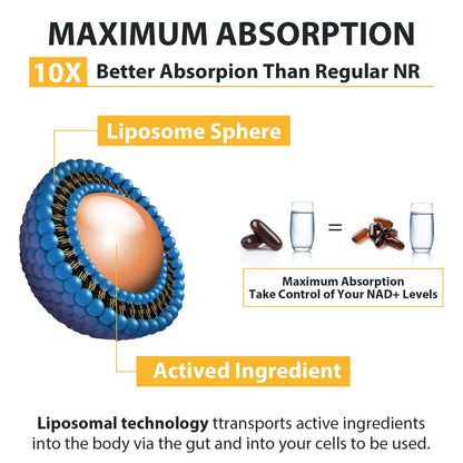 Orgabay Liposomal Nicotinamide Riboside 2000 MG | NAD+ Support