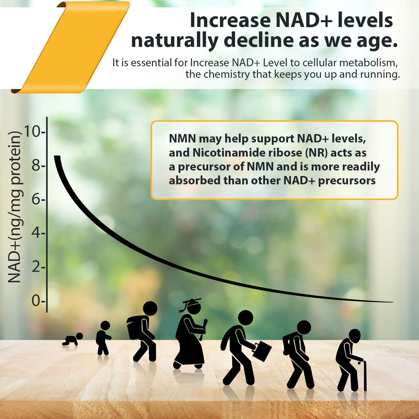 Orgabay Liposomal Nicotinamide Riboside 2000 MG with TMG and Pterostilbene – NAD+ Support for Healthy Aging (480 Softgels)