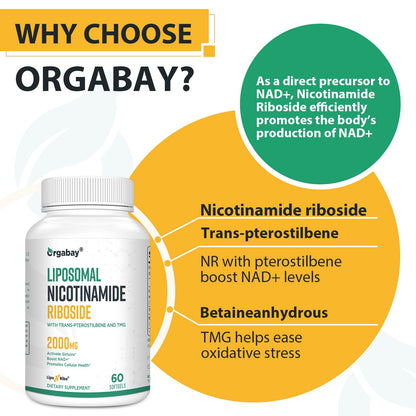 Orgabay Liposomal Nicotinamide Riboside 2000 MG with TMG and Pterostilbene – NAD+ Support for Healthy Aging (480 Softgels)