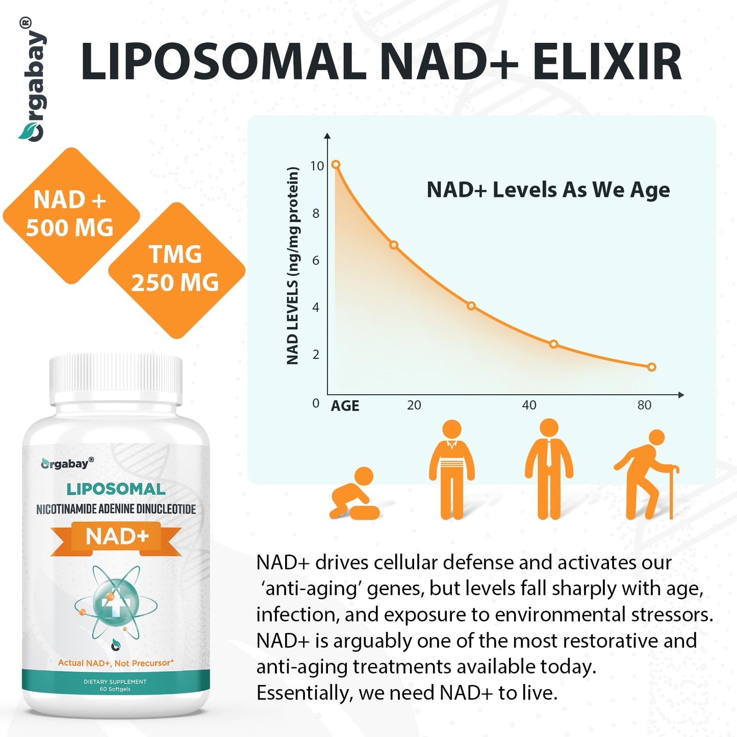 Orgabay Liposomal NAD+ Supplement 500 mg + 250 mg TMG – High Absorption NAD+ | 480 Softgels