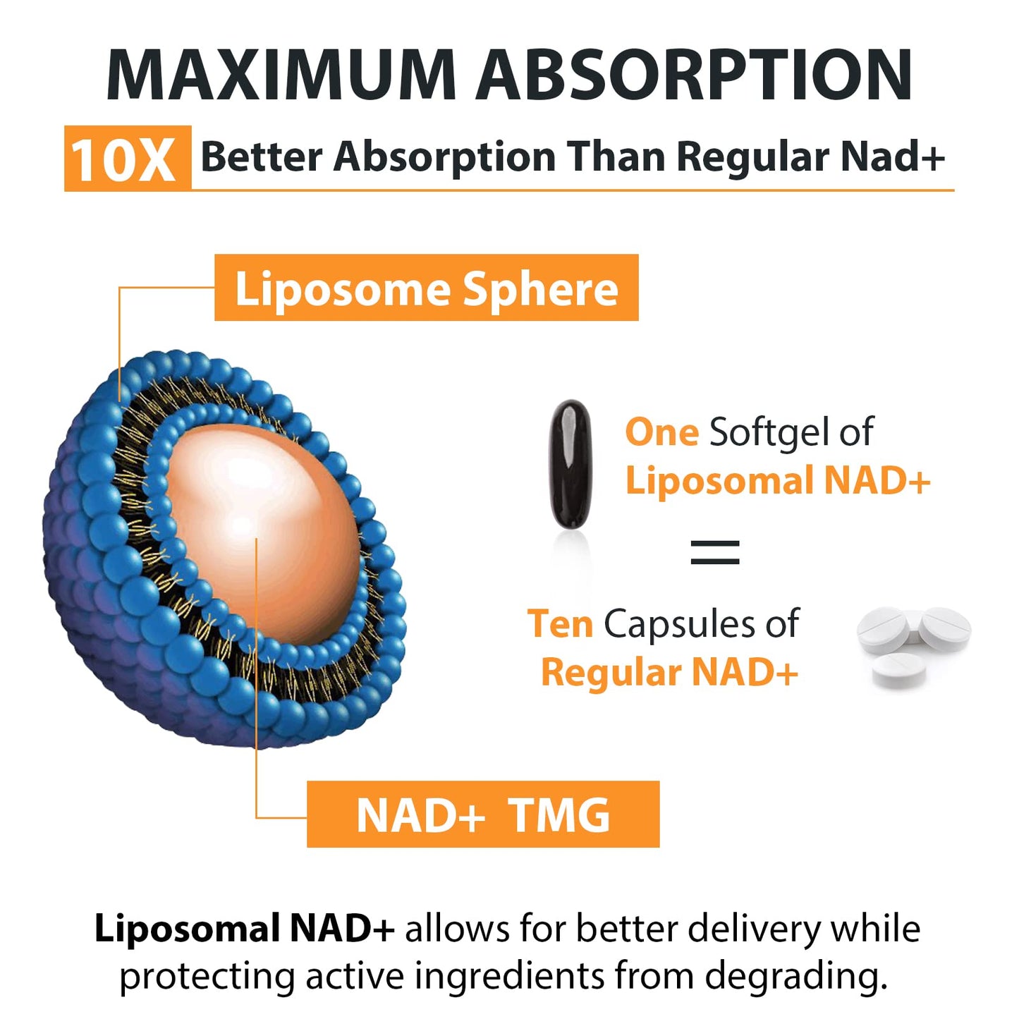 Orgabay Liposomal NAD+ Supplement 500 mg | High Absorption with 250 mg TMG per Softgel | 120 Softgels