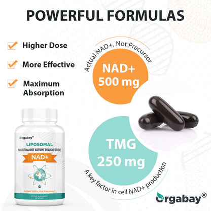 Orgabay Liposomal NAD+ Supplement 500 mg | High Absorption with 250 mg TMG per Softgel | 120 Softgels