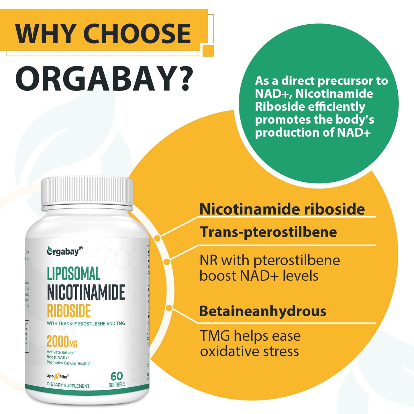 Orgabay Liposomal Nicotinamide Riboside 2000 MG – TMG & Pterostilbene, NAD+ Support, 360 Count