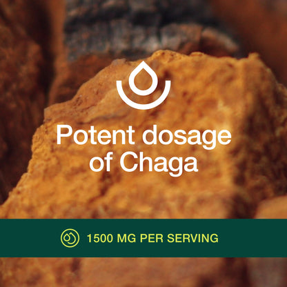 Organic Chaga Mushrooms – DNA Verified 1500mg per Serving – Non-GMO, Gluten & Soy Free, Vegan (Pack of 2)