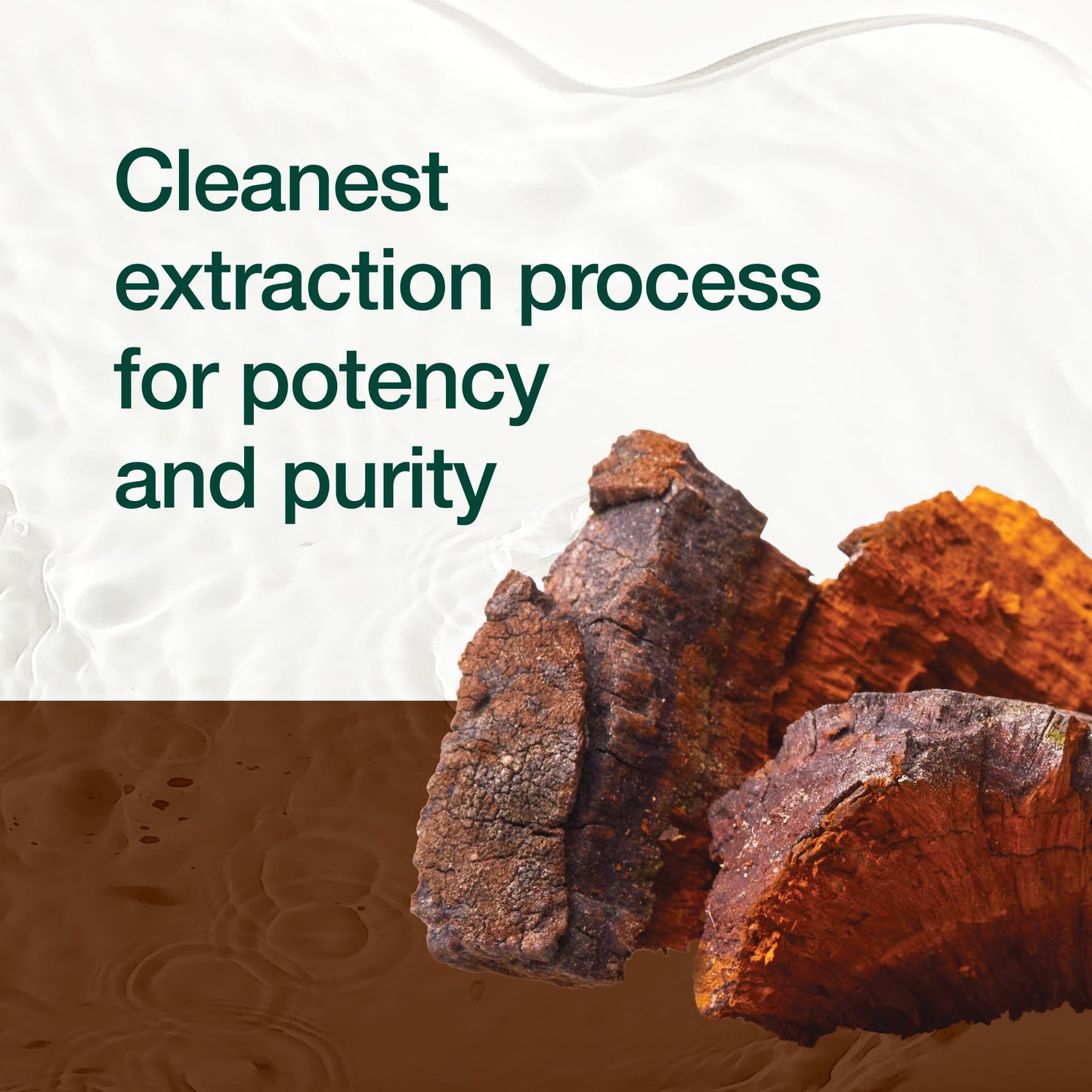 Organic Chaga Mushrooms – DNA Verified 1500mg per Serving – Non-GMO, Gluten & Soy Free, Vegan (Pack of 2)