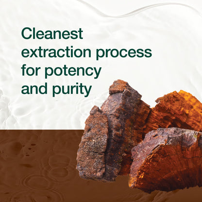 Organic Chaga Mushrooms – DNA Verified 1500mg per Serving – Non-GMO, Gluten & Soy Free, Vegan (Pack of 2)