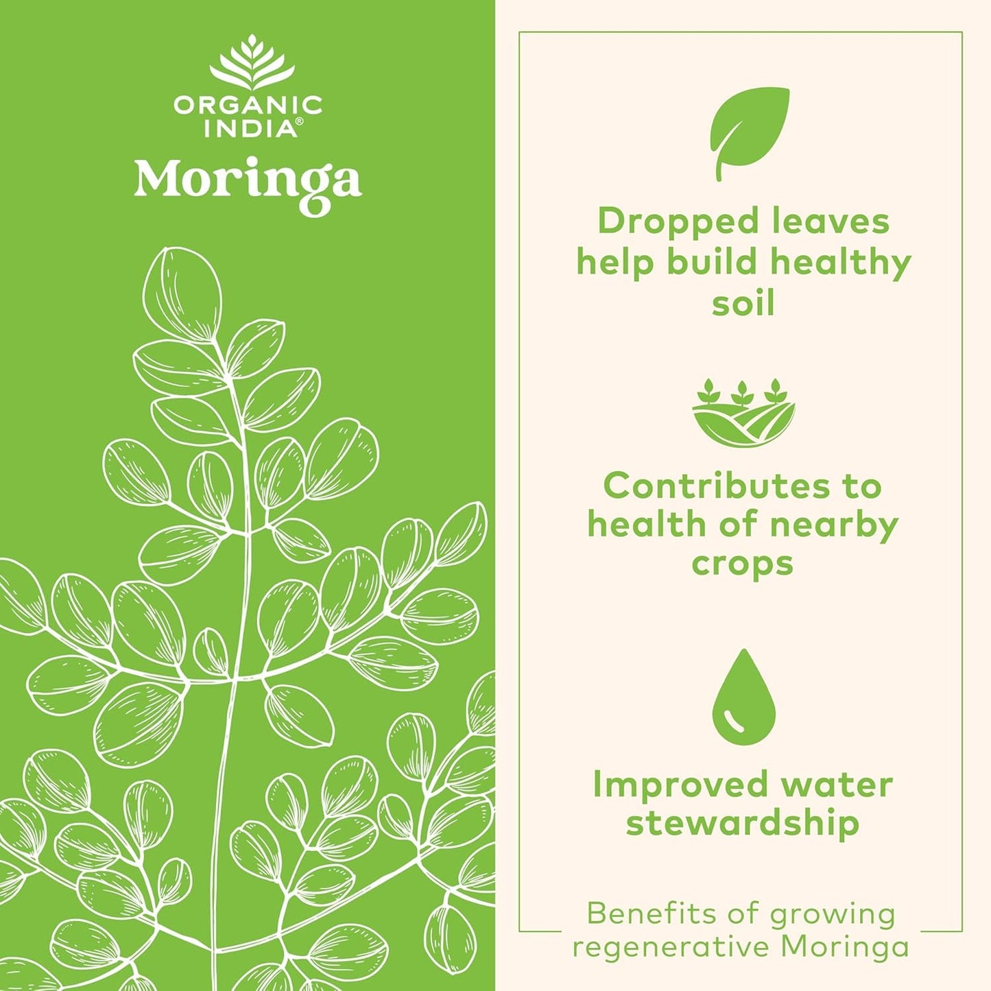 Organic India Moringa Powder – Moringa Oleifera Leaf Green Superfood, 2-Pack, USDA Organic
