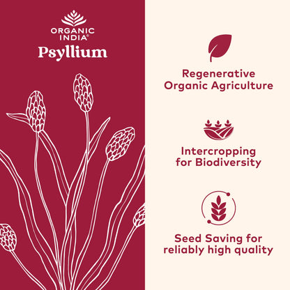 Organic India Psyllium Herbal Powder – Whole Husk Fiber, 12 oz Canister, 3 Pack | Keto, Vegan, Gluten-Free, USDA Organic