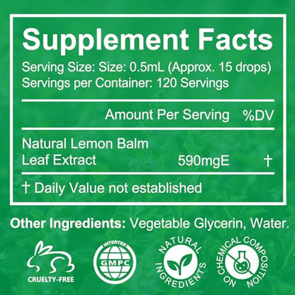 Lemon Balm Extract - Alcohol-Free Tincture (590mg per dose) - Natural Organic Lemon Balm Liquid for Relaxation | 2.02 Fl Oz