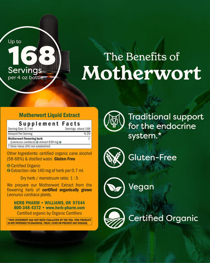 Herb Pharm Certified Organic Motherwort Liquid Extract – Endocrine Support (4 oz)