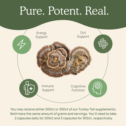 Real Mushrooms Turkey Tail Capsules – Organic Mushroom Extract, 200 Count