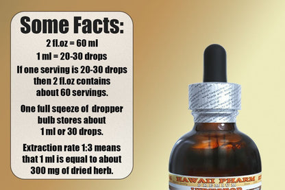 Rhodiola Alcohol-Free Liquid Extract – Organic Rhodiola Rosea Glycerite 2 oz
