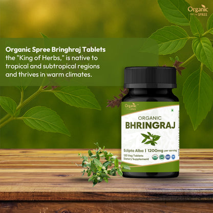 Organic Spree Bhringraj 120 Tablets – USDA Organic Certified | Ayurvedic Hair Care