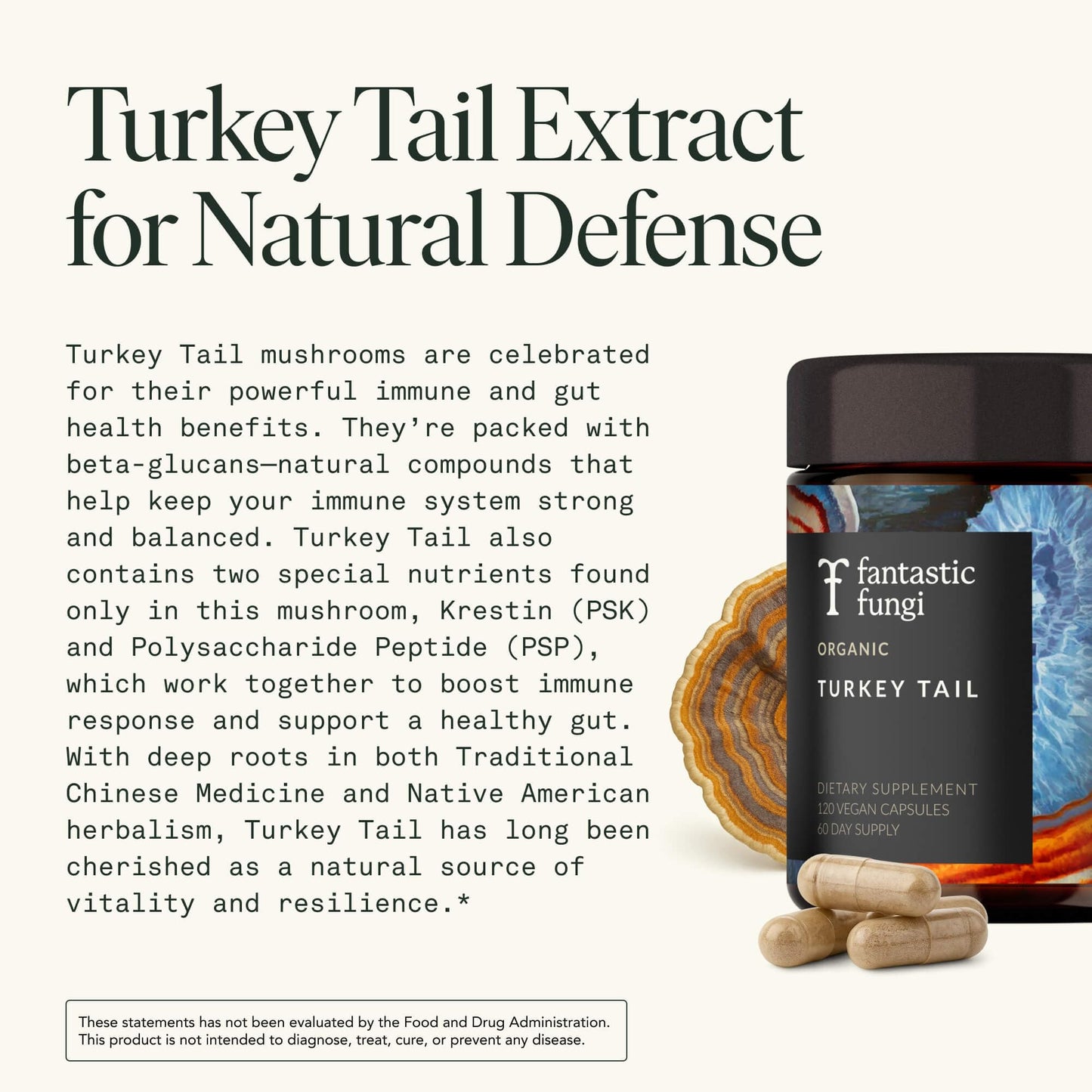 Organic Turkey Tail Mushroom Capsules – Immune & Gut Health (120 Caps, Vegan)