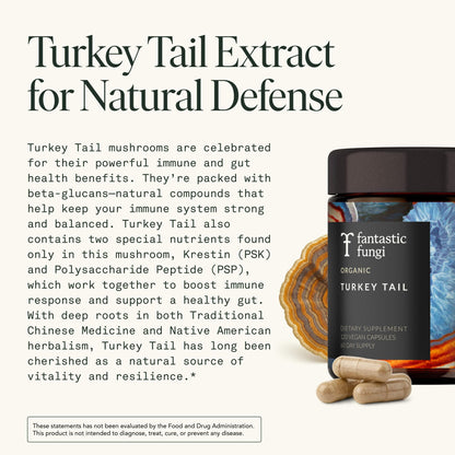 Organic Turkey Tail Mushroom Capsules – Immune & Gut Health (120 Caps, Vegan)