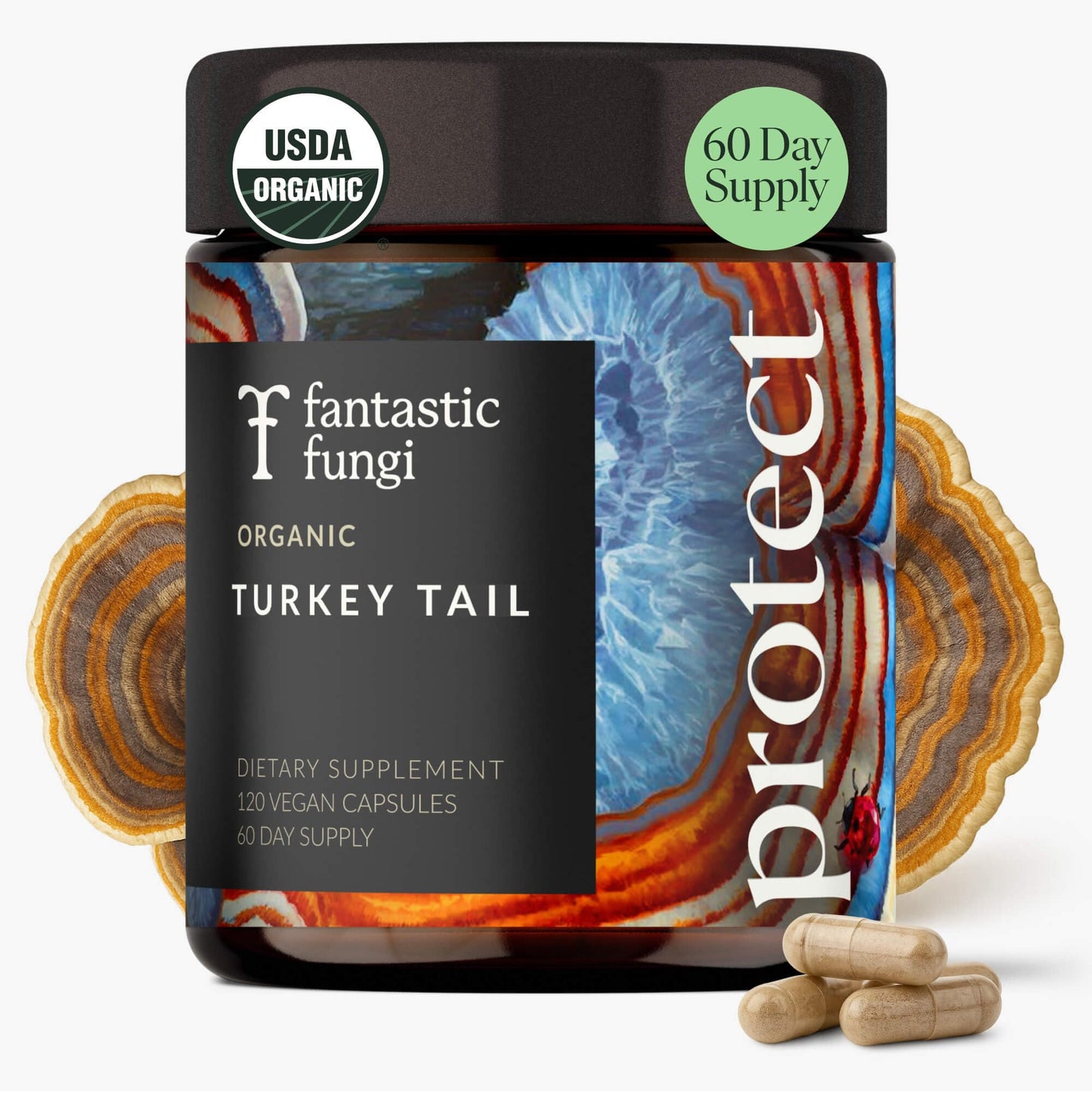 Organic Turkey Tail Mushroom Capsules – Immune & Gut Health (120 Caps, Vegan)