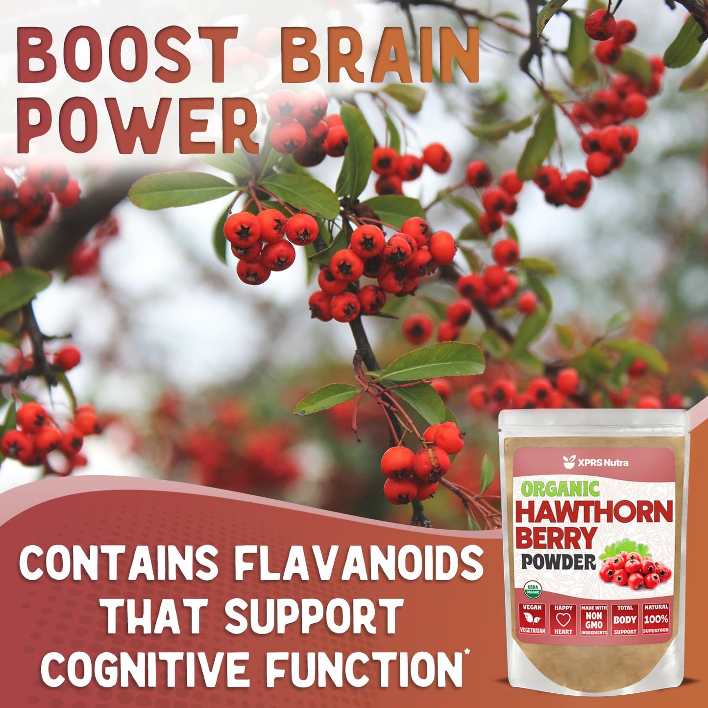 XPRS Nutra Organic Hawthorn Berry Powder - USDA Organic, Heart Health, Vegan, 4 oz