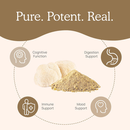 Real Mushrooms Lion’s Mane Supplement Capsules - Organic, Vegan, 300 ct, Beta-Glucan Rich