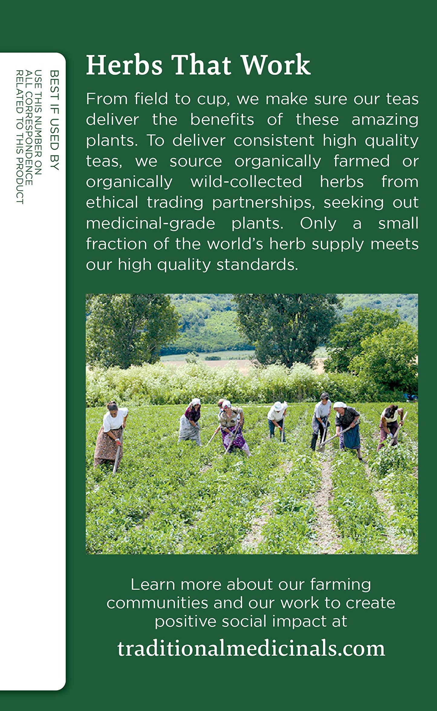 Traditional Medicinals Organic Nettle Leaf Tea - 32 Bags, 2-Pack | Joint Health & Wellness