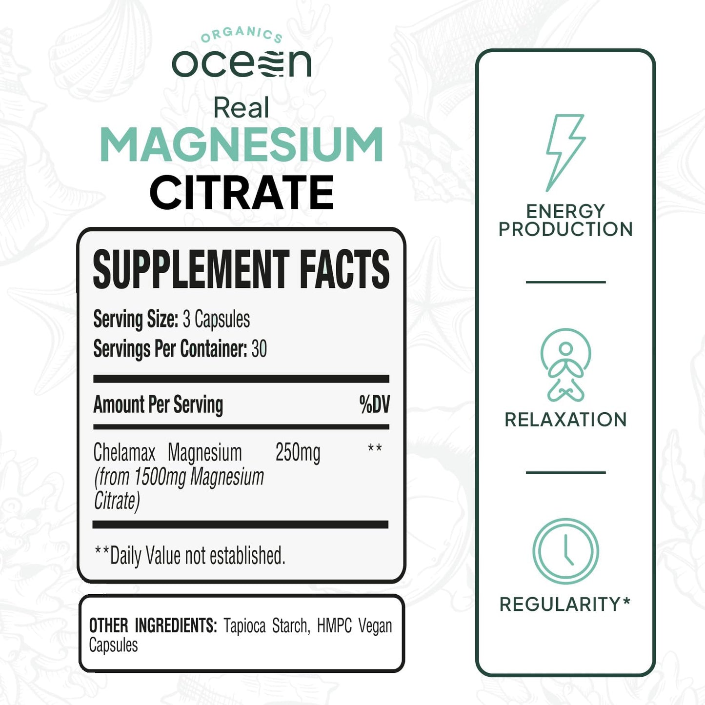 Organics Ocean Real Magnesium Citrate - High Absorption Chelated Magnesium Supplement - 3 Pack Bulk