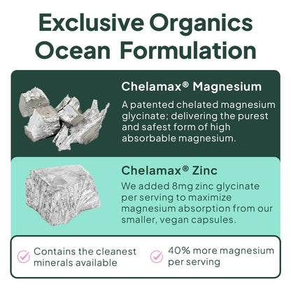 Organics Ocean Magnesium Glycinate with Zinc – Maximum Strength Chelated Magnesium for Sleep Support, Muscle Cramps & Heart Health – 3 Bottles