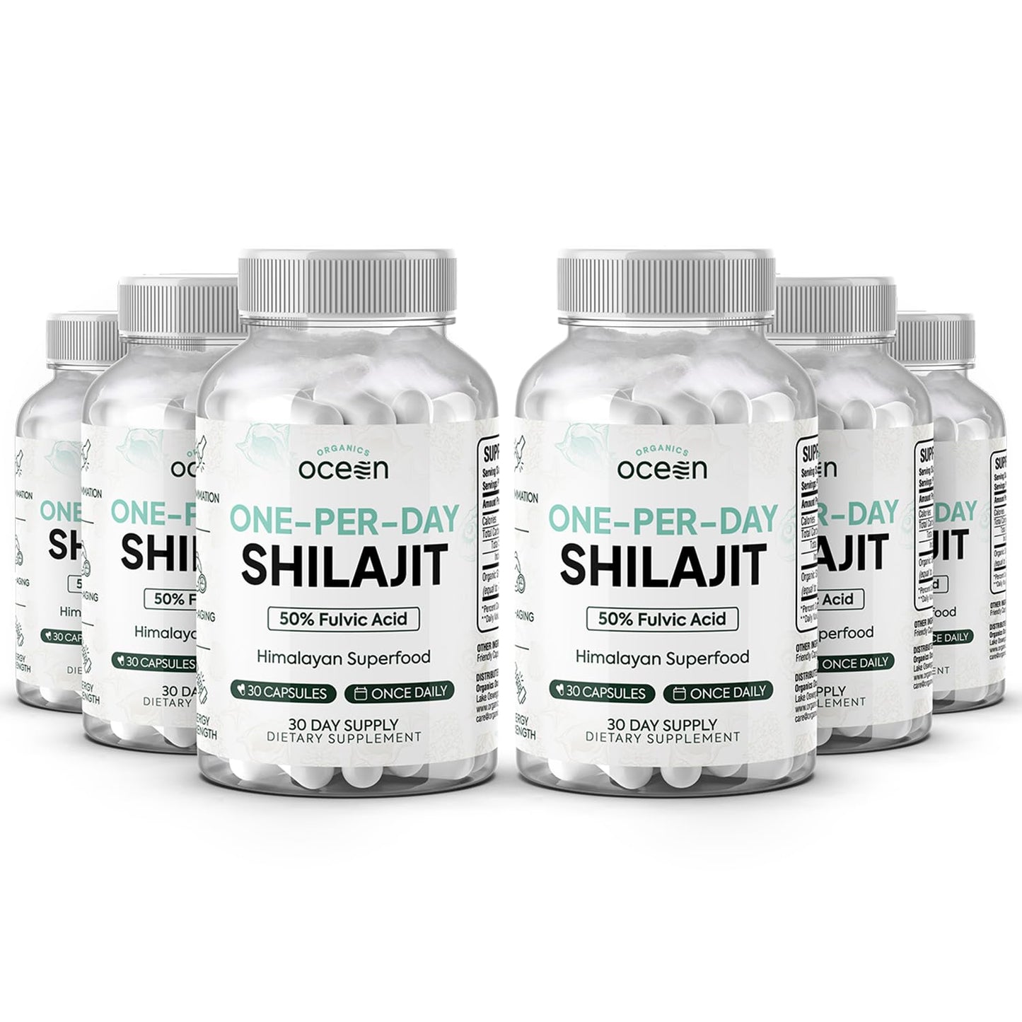 Organics Ocean One-Per-Day Shilajit Capsules – Himalayan Shilajit for Hormone Support – 6 Bottles