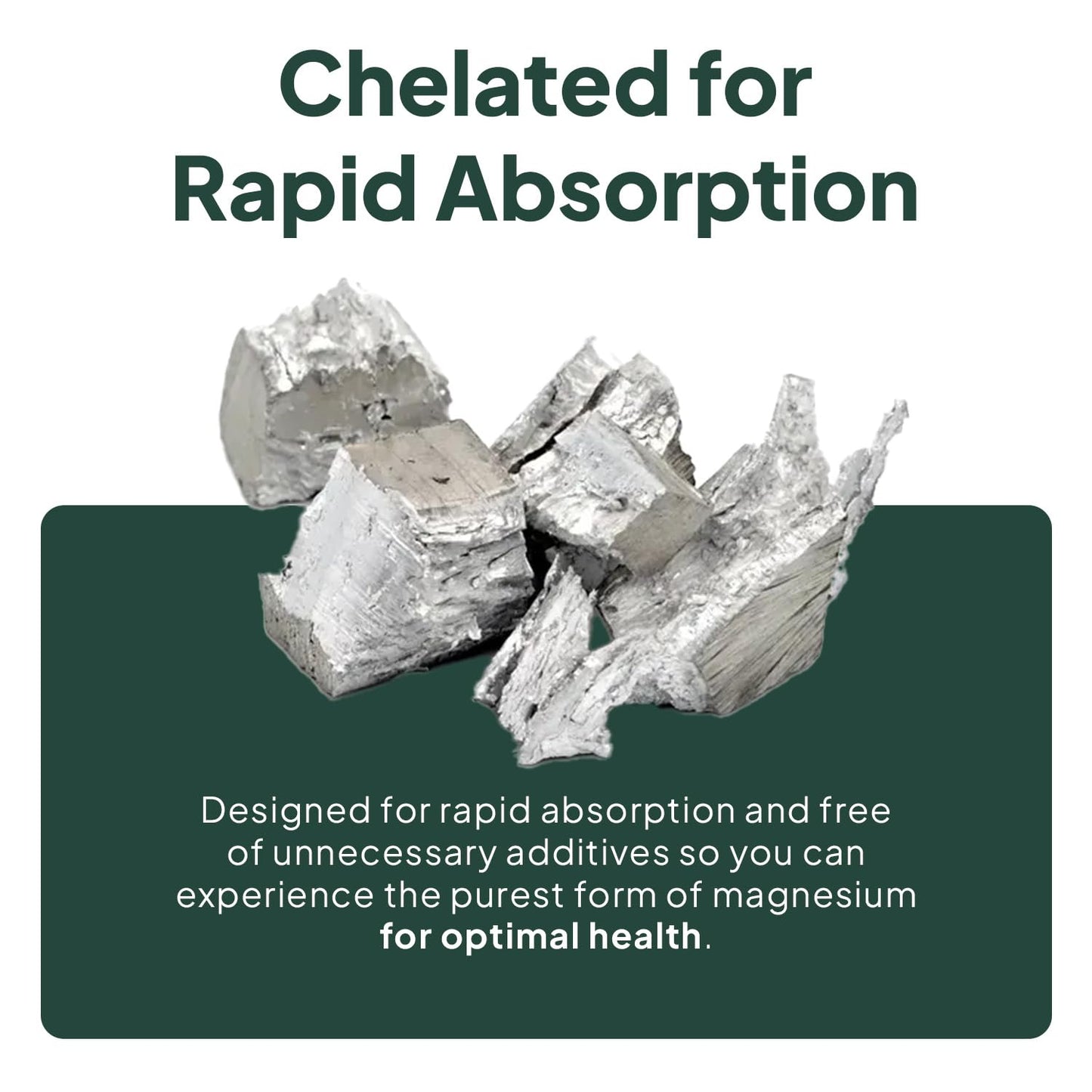 Organics Ocean Real Magnesium Citrate - High Absorption Chelated Magnesium Supplement - 3 Pack Bulk
