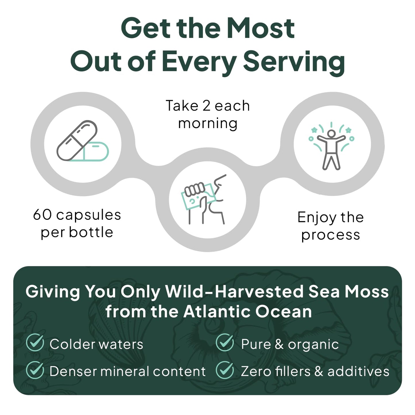 Organics Ocean Wild Sea Moss Capsules – Organic Irish Sea Moss, Chlorella, Bladderwrack & Vitamin D3 (3 Bottles)