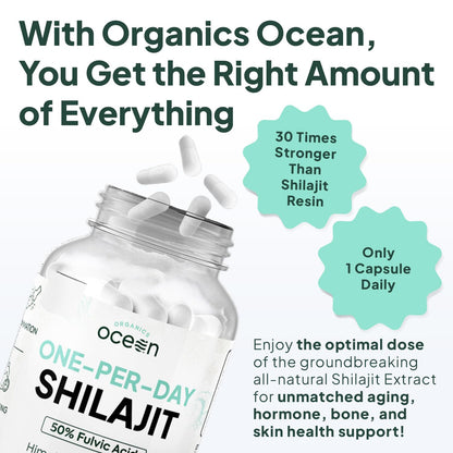 Organics Ocean One-Per-Day Shilajit Capsules – Himalayan Shilajit for Hormone Support – 6 Bottles