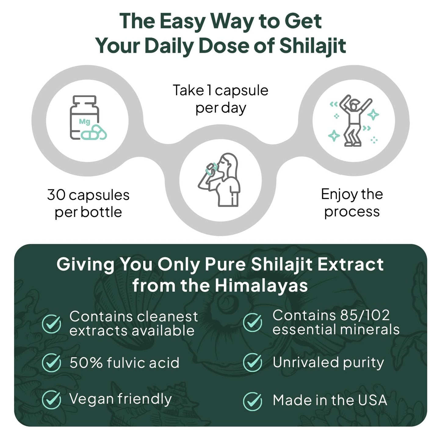 Organics Ocean One-Per-Day Shilajit Capsules – Himalayan Shilajit for Hormone Support – 6 Bottles