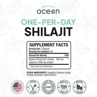 Organics Ocean One-Per-Day Shilajit Capsules – Himalayan Shilajit for Hormone Support – 6 Bottles
