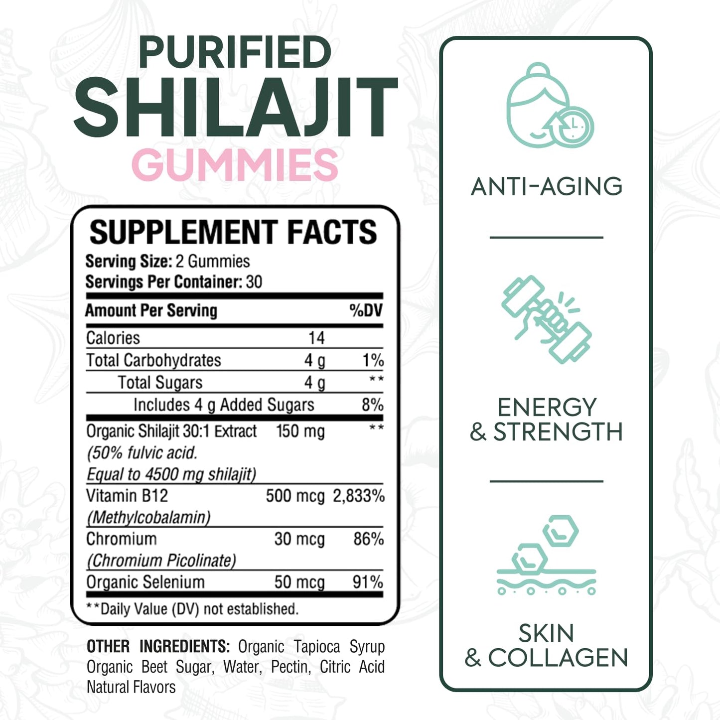 Organics Ocean Shilajit Gummies – Pumpkin Cocoa, 60 Gummies